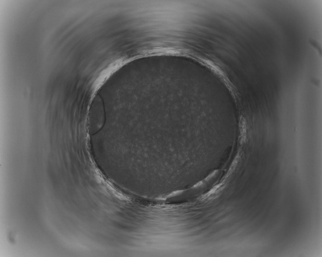 X0000101121373200806261426