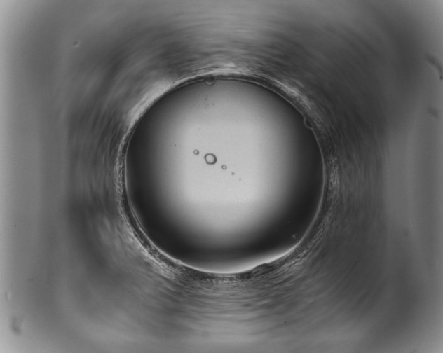 X0000101121375200806261426