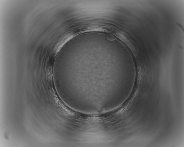 X0000101121377200806261426