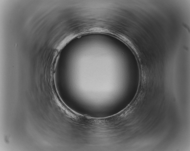 X0000101121381200806261426