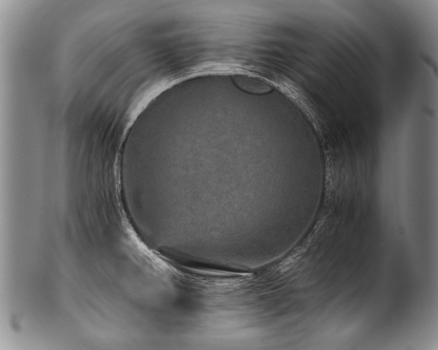 X0000101121382200806261426