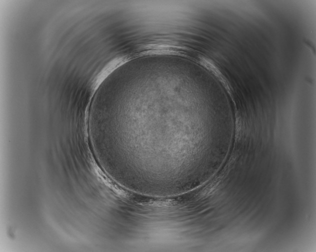 X0000101121386200806261426