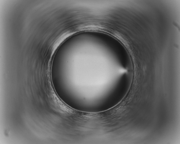 X0000101121392200806261426