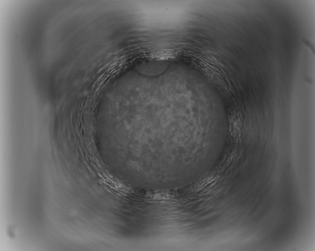 X0000101121393200806261425