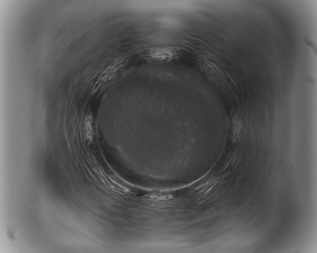 X0000101121394200806261425