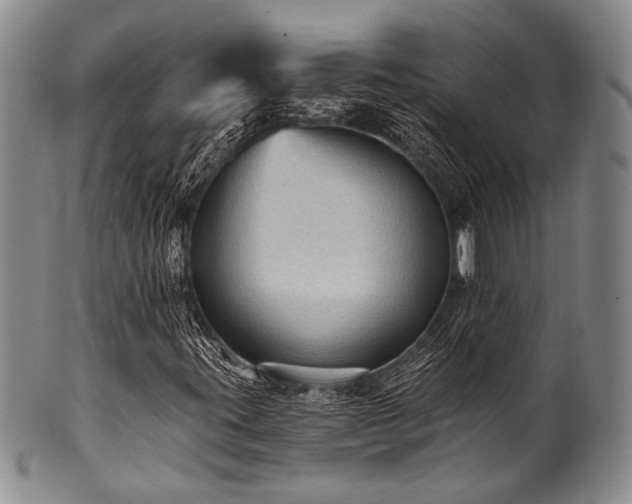 X0000101121395200806261425