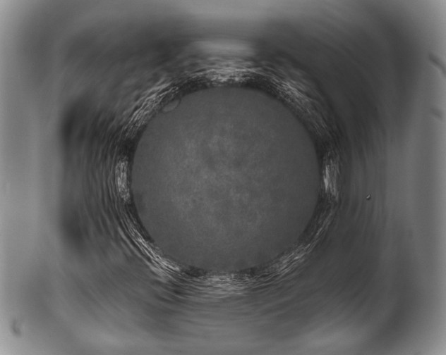 X0000101121396200806261425