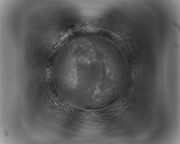X0000101121397200806261425