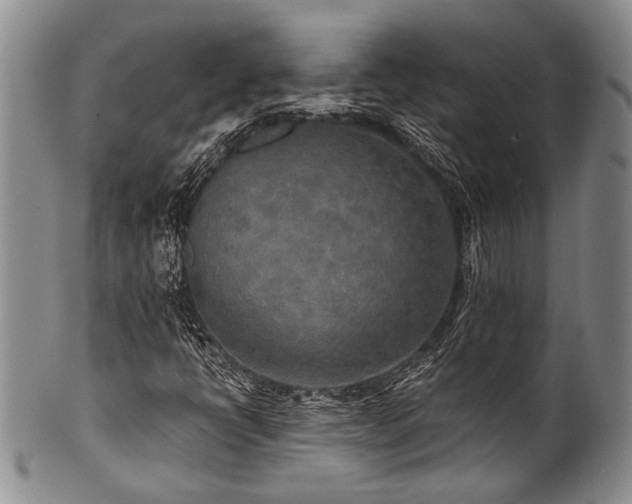 X0000101121398200806261425
