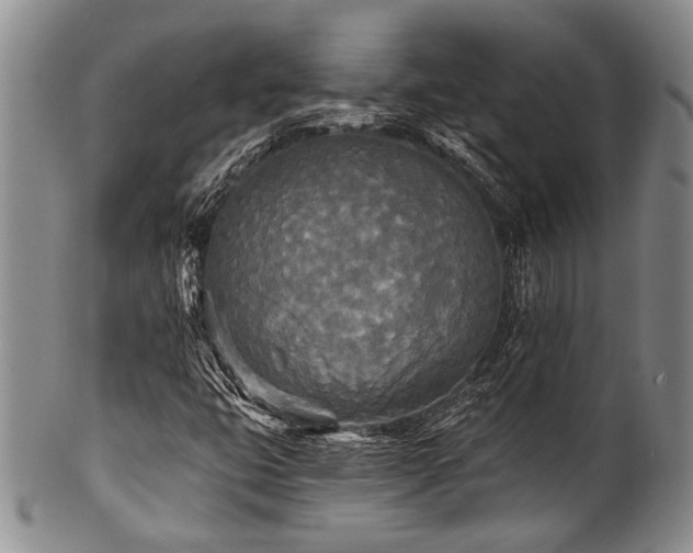 X0000101121399200806261425