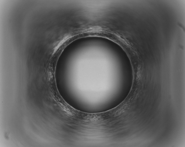X0000101121400200806261425