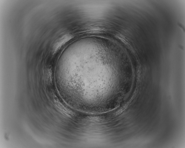 X0000101121402200806261425
