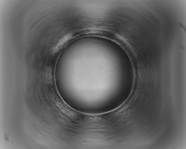 X0000101121403200806261425