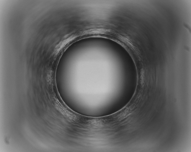 X0000101121404200806261425