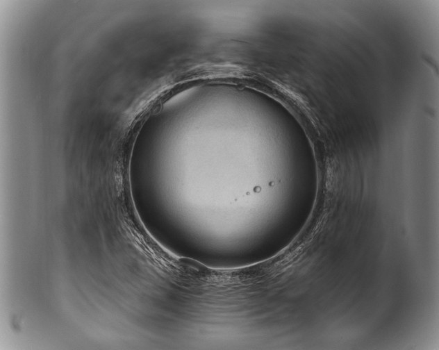 X0000101121407200806261425