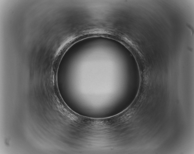 X0000101121408200806261425