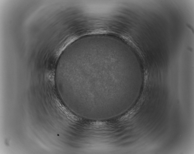 X0000101121409200806261425