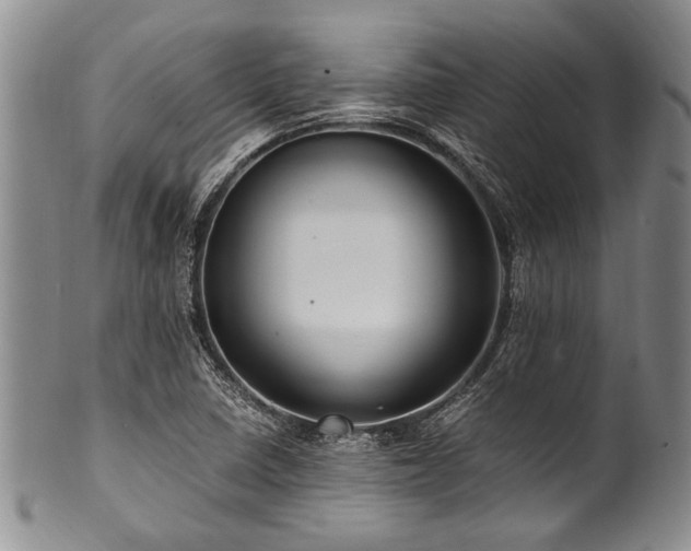 X0000101121410200806261425