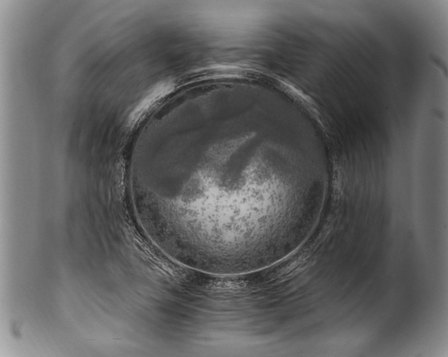 X0000101121411200806261425