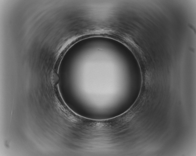 X0000101121412200806261425