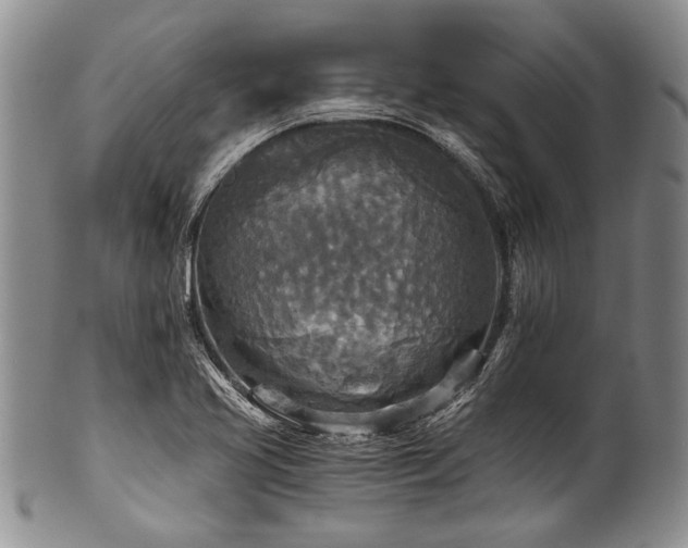 X0000101121413200806261425