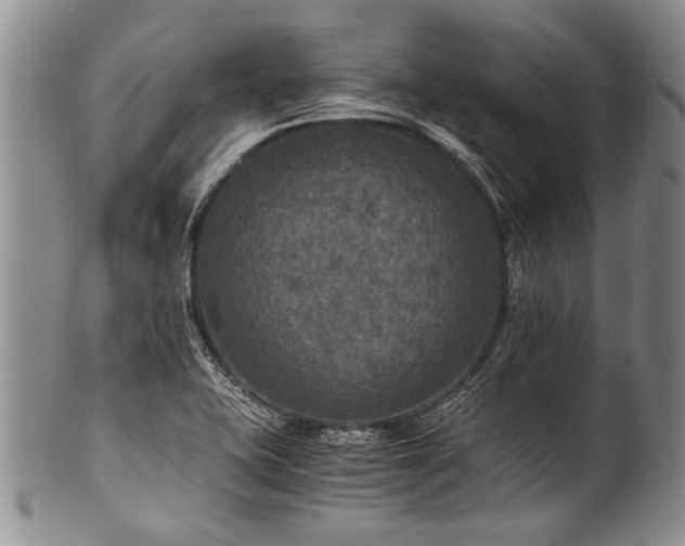 X0000101121415200806261425