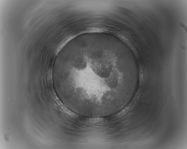 X0000101121417200806261425