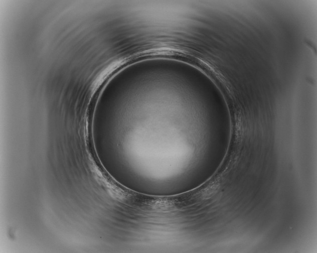X0000101121418200806261425