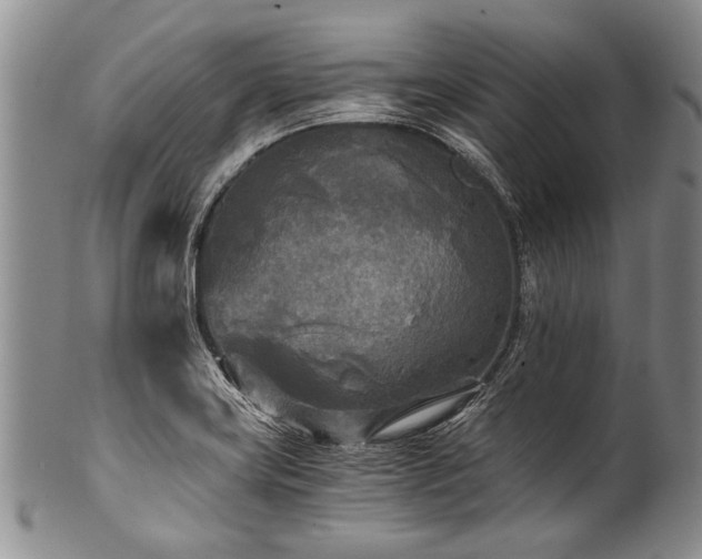 X0000101121419200806261425