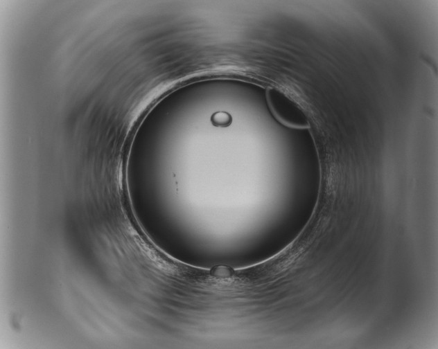 X0000101121420200806261425