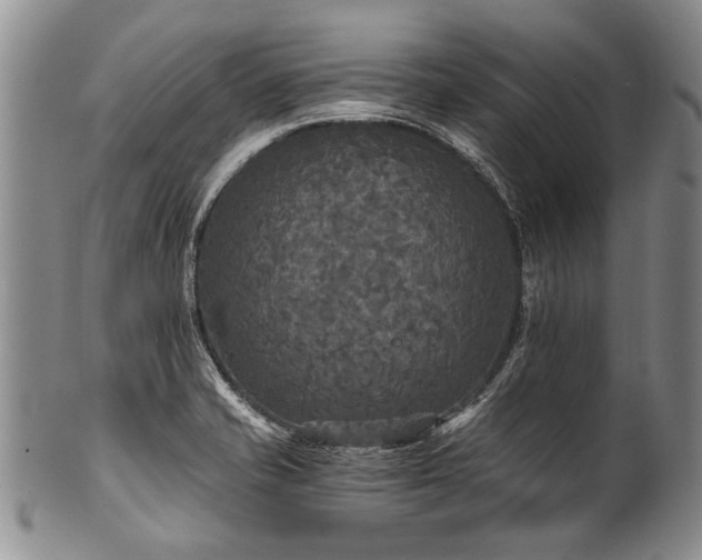 X0000101121421200806261425