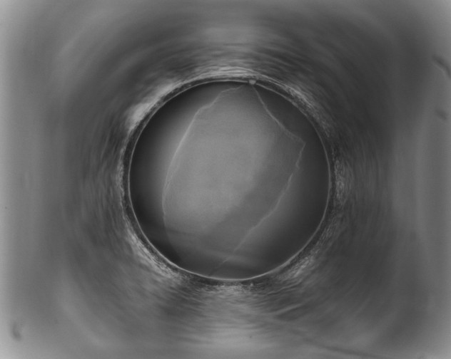 X0000101121422200806261425