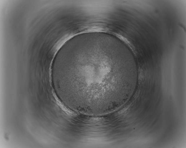 X0000101121423200806261425