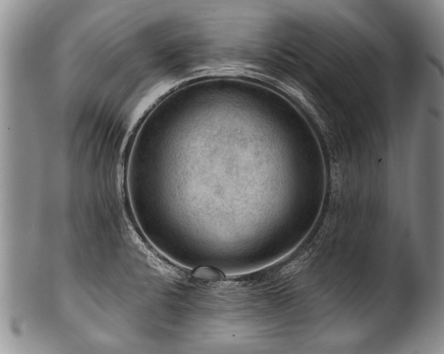 X0000101121424200806261425