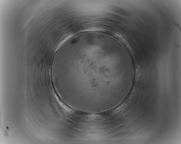 X0000101121425200806261425