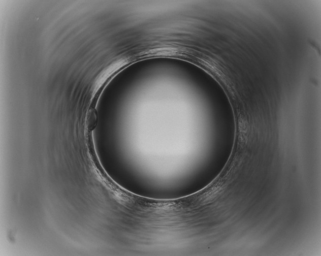 X0000101121426200806261425
