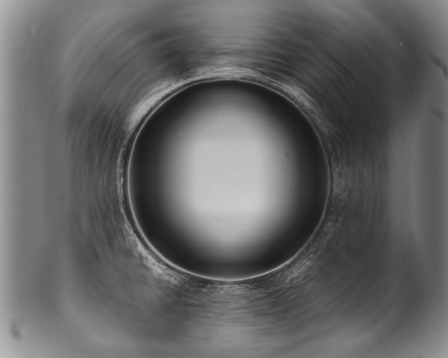 X0000101121430200806261426
