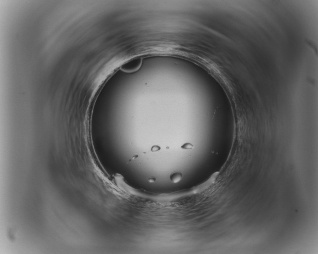 X0000101121432200806261426