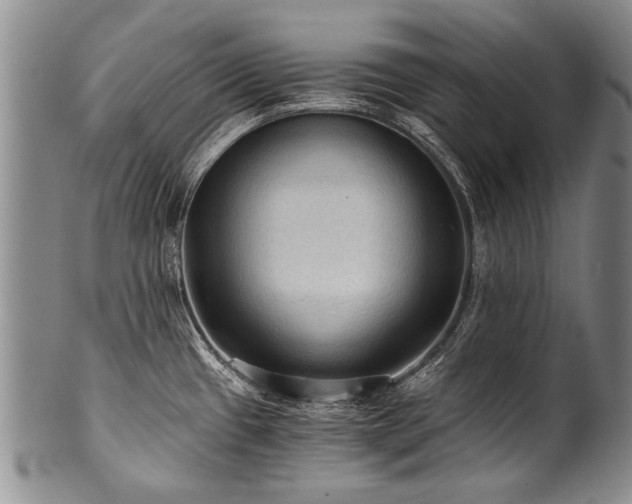 X0000101121433200806261426