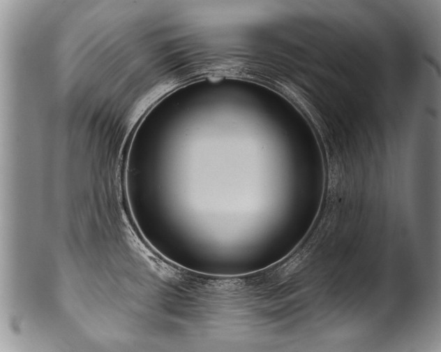 X0000101121434200806261426
