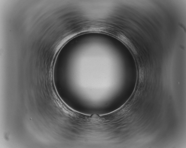 X0000101121436200806261426
