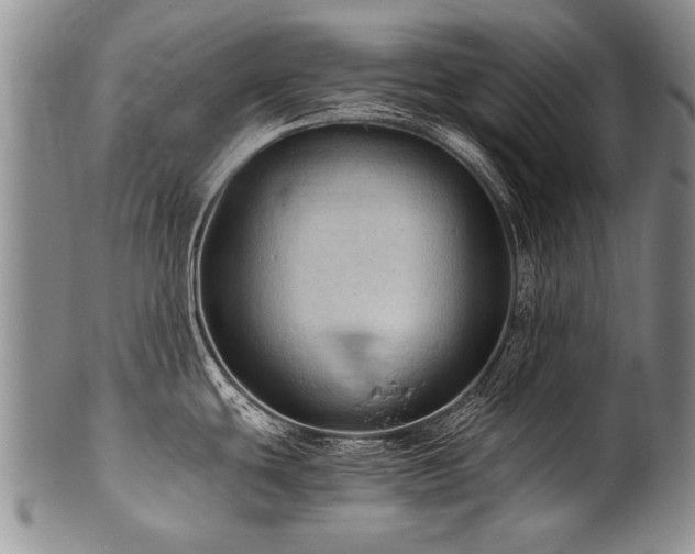 X0000101121439200806261426