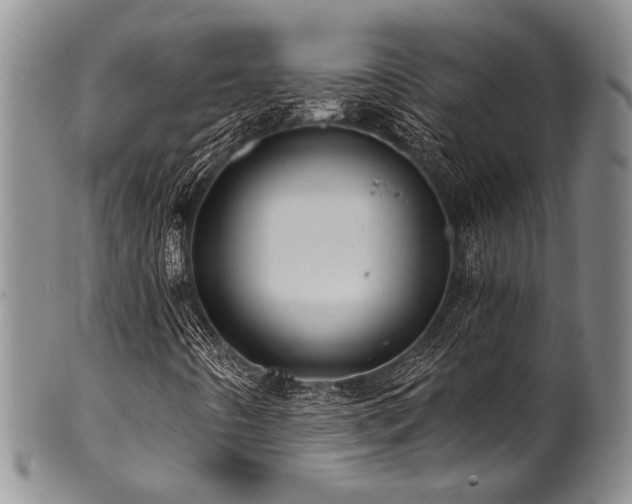 X0000101121442200806261425