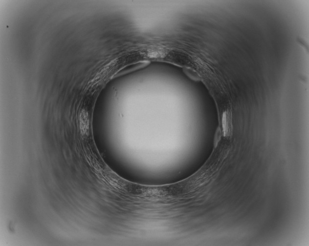 X0000101121443200806261425