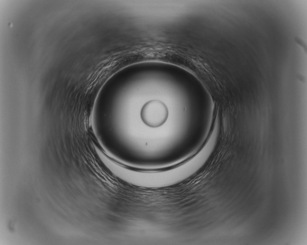 X0000101121444200806261425