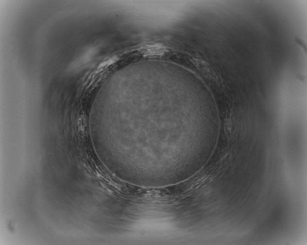 X0000101121445200806261425