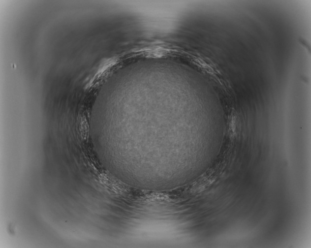 X0000101121446200806261425