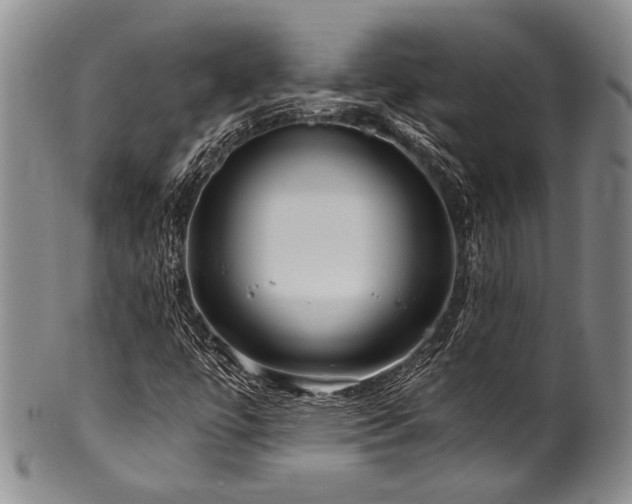 X0000101121447200806261425