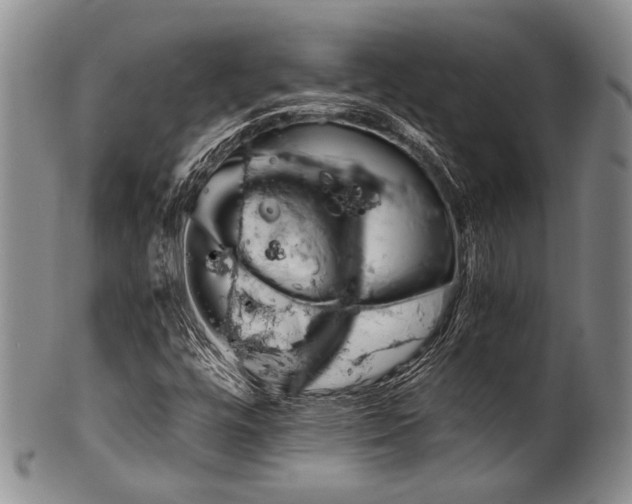 X0000101121448200806261425