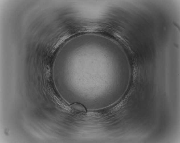 X0000101121449200806261425
